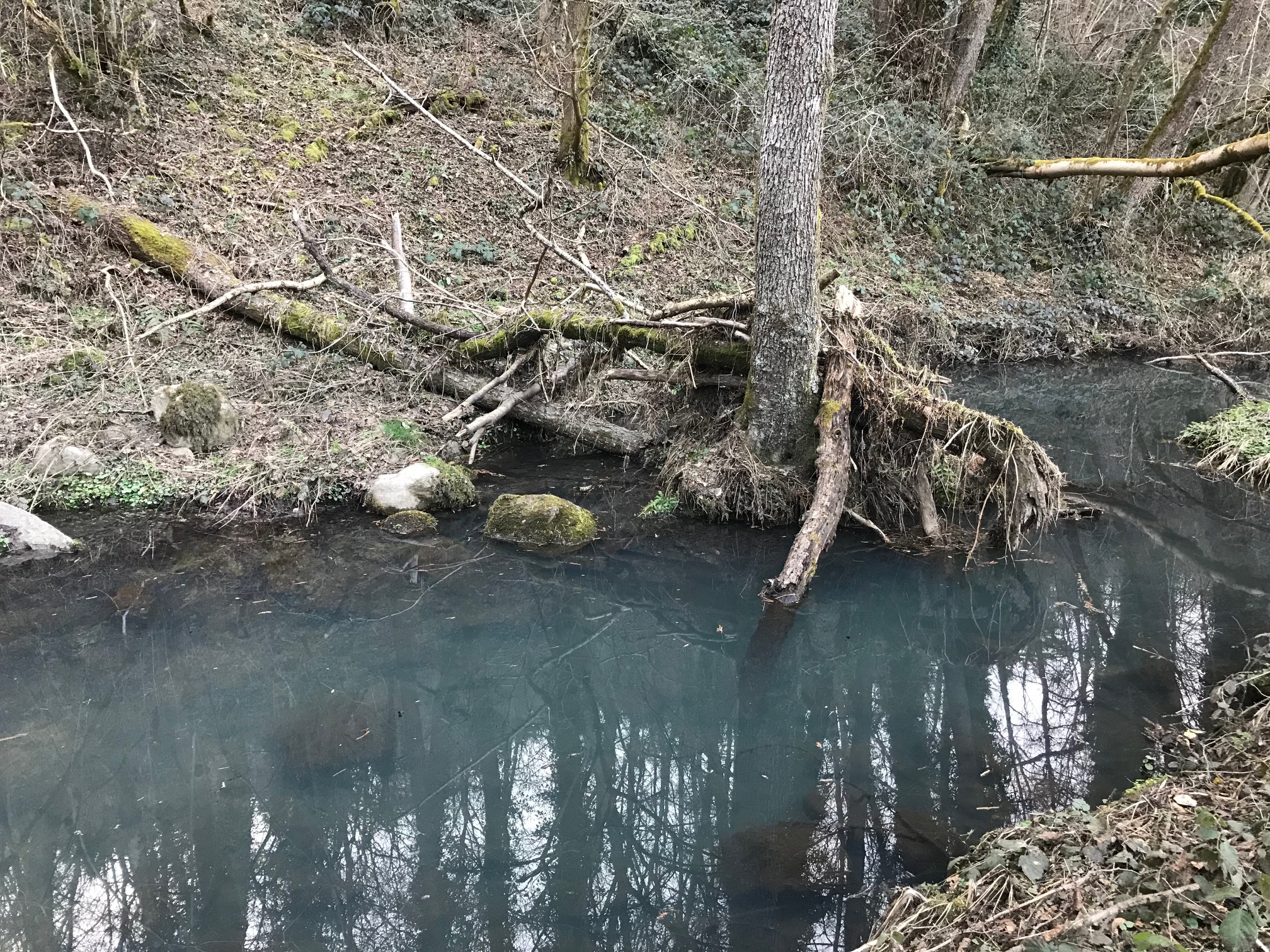 Le gour avant les traveaux.